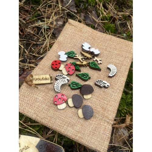 Drewniane Mrowisko (małe )– Edukacyjna Przygoda w Świecie Mrówek! (zestaw malowany)